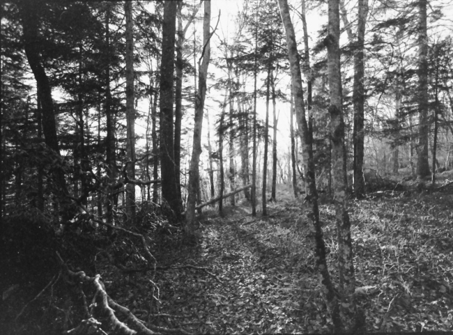 photos patrick sulliger 