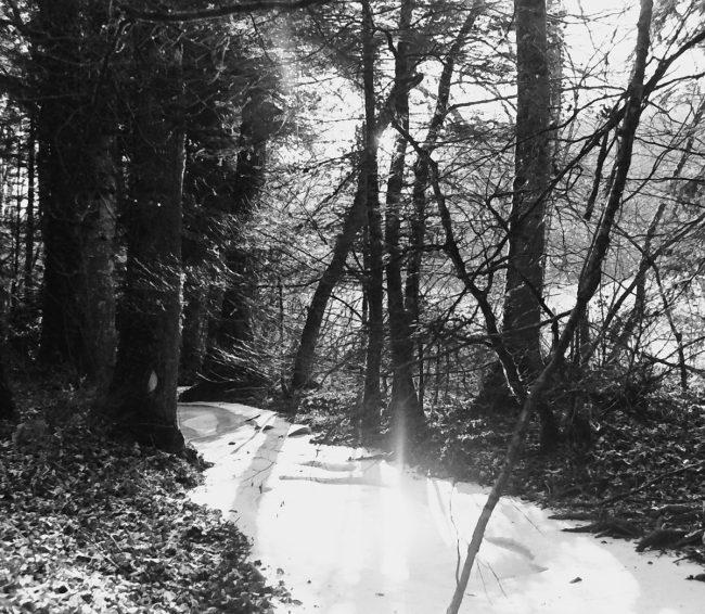 photos patrick sulliger 